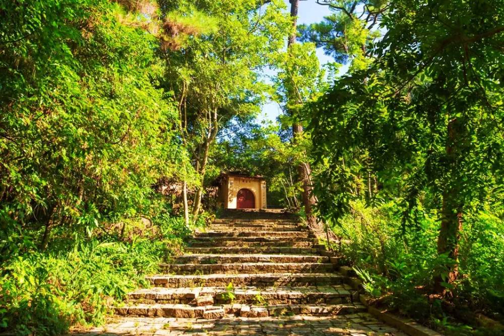 Bach Ma National Park – Tuy Van Pagoda – Tam Giang Lagoon